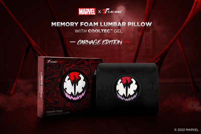 Enhance Your Reign Of Terror With The All-New TTRacing Carnage Lumbar Pillow