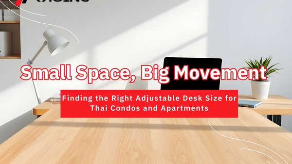 Investing in Health: Comparing the Best Budget and Premium Ergonomic Chair Thailand Options