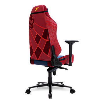 เก้าอี้เกมมิ่ง TTRacing Maxx Gaming Chair - Dr Strange Edition