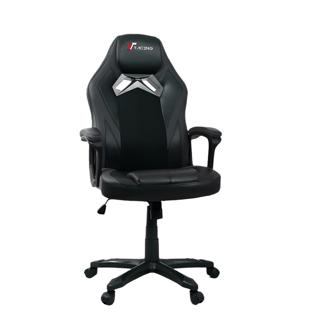 เก้าอี้เกมมิ่ง เก้าอี้เกมเมอร์ รุ่น TTRacing Duo V3