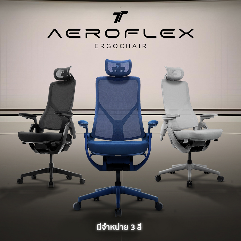 files/NEW-TH-Aeroflex-cp-1.png