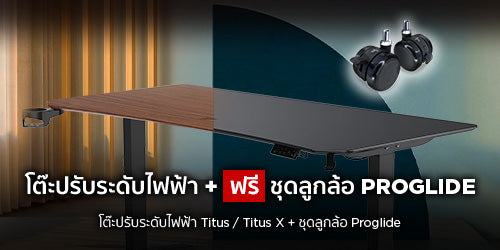 ชุดรวม Productivity