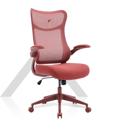 เก้าอี้เพื่อสุขภาพ TT AIRFLEX V2 Ergonomic Chair