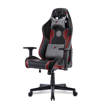 เก้าอี้เกมมิ่ง TTRacing Swift X 2020 Gaming Chair - Ant-Man Edition