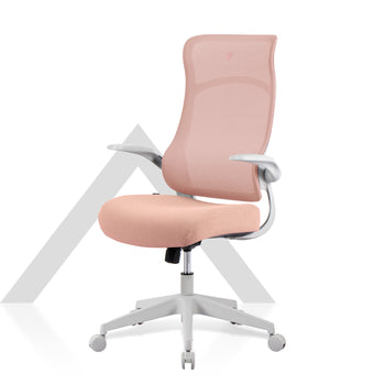 เก้าอี้เพื่อสุขภาพ เก้าอี้ทำงาน รุ่น TT AIRFLEX Ergochair
