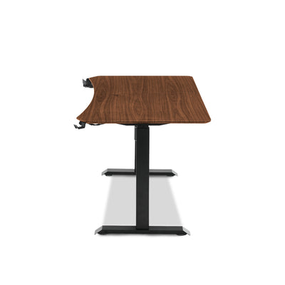 โต๊ะปรับระดับ TTRacing Titus Smart Standing Desk – Walnut | ปรับสูง 76–121 ซม. | รับน้ำหนัก 80 กก.