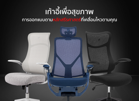 Ergonomic Office Chair